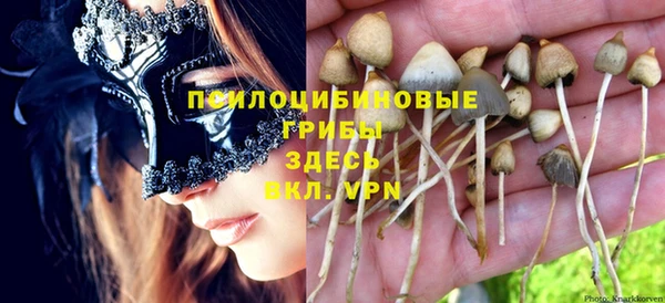 хмурый Армянск