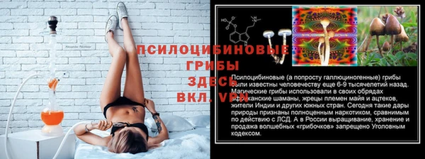 Альфа ПВП Аркадак