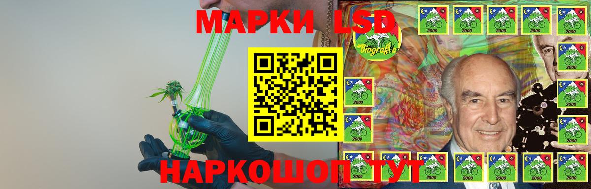 Галлюциногенные грибы Можга
